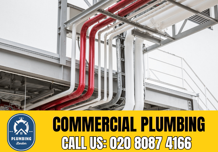 commercial plumbing Belgravia 