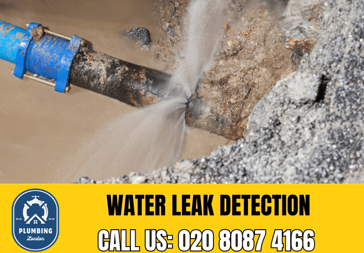 leak detection Belgravia 